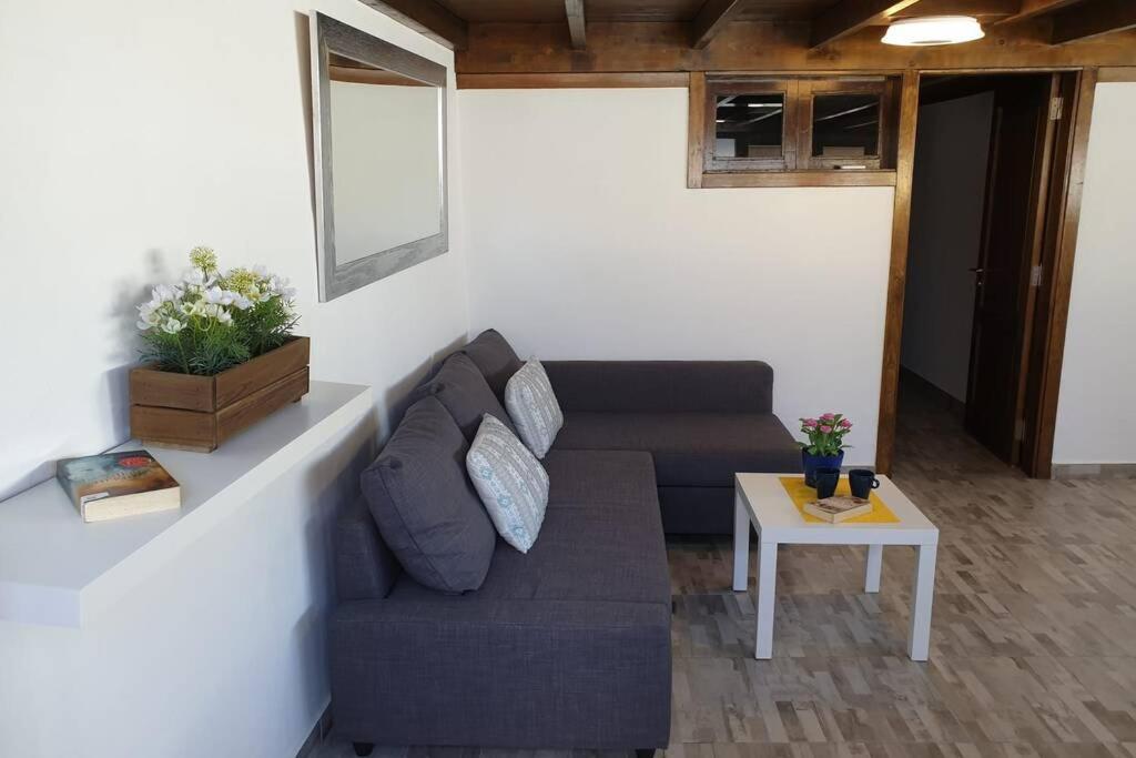 Mozaga Apartamento Eucalipto מראה חיצוני תמונה